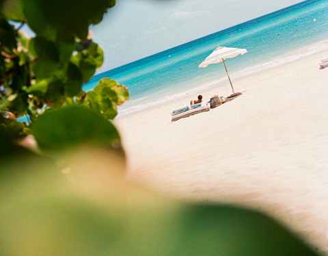 A guest lounging on a pristine white beach gazes at the dazzling blue sea ahead, seen in an angled view from behind foliage.