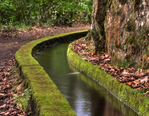 A section of Madeira's Levada waterways curves through forest, with moss-covered walls flanking a serene rainwater channel.