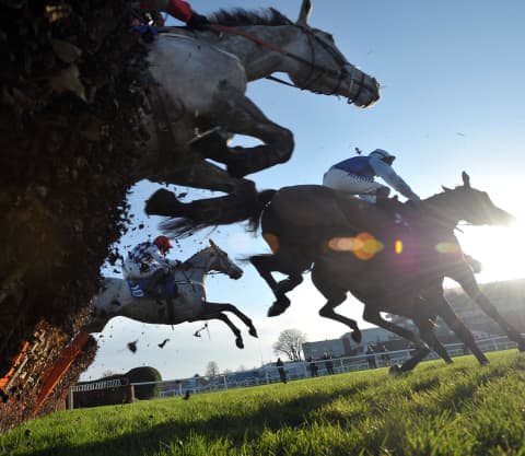 Worm's eye view of white and chestnut horses jumping a fence during a race, with birch flying and jockeys in raised pose.