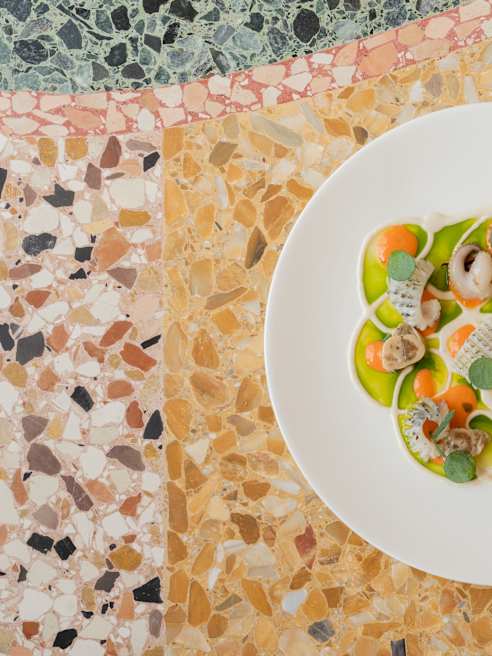 A white plate with an artfully arranged dish of colourful vegetables, small herbs, and delicate garnishes sits on a multicoloured terrazzo surface with tan, green, and rust tones.