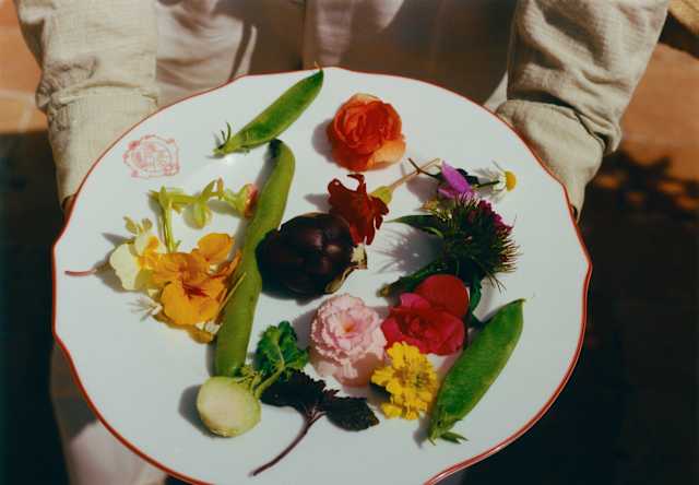 Looking down on a plate of edible flowers, in orange, pink and purple, alongside a mange-tout, radish and haricot bean pod.