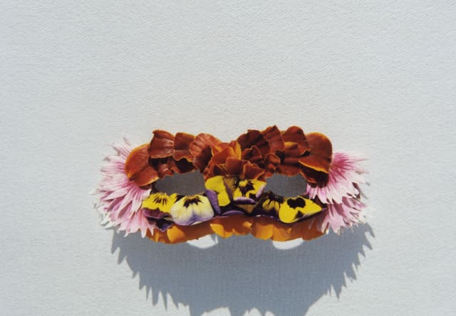 An eye mask crafted from the petals of Gerbera, Pansies and Roses lies in the sun, awaiting evening and the next masked ball