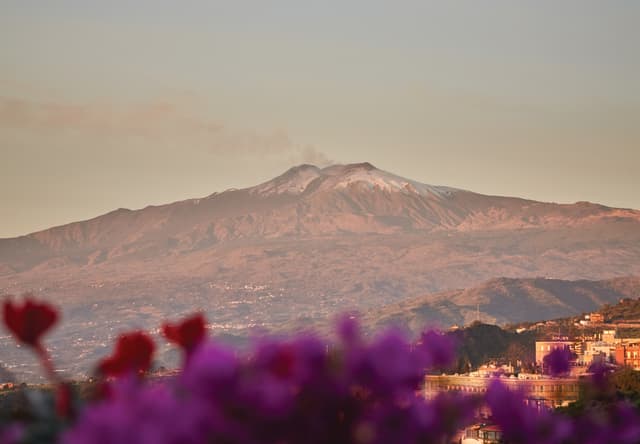 A puff of smoke from the volcano meets a hazy blue sky in a splendid view of Mount Etna, seen behind a pink flowering bush.