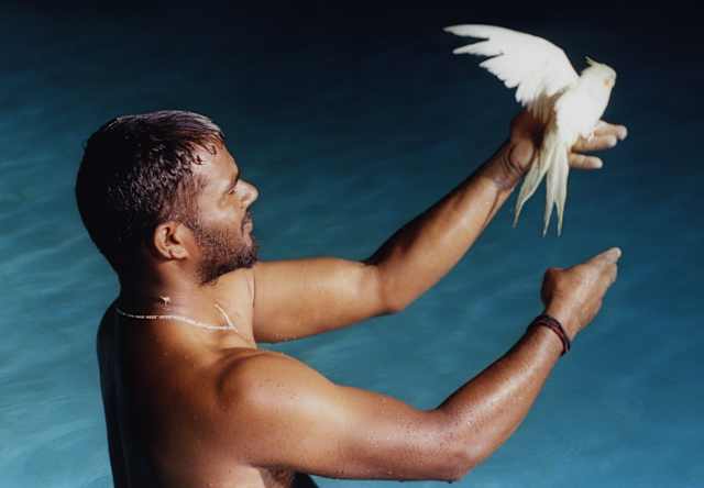 Illusionist Nikhil Raj stands bare-chested in water with a white budgerigar sitting on his outstretched hand, seen from above.