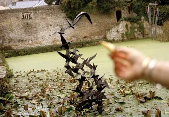 In soft-focus foreground, a woman holds out a chip to a flock of bronze birds cast by Lloyd LeBlanc which burst from a pond.