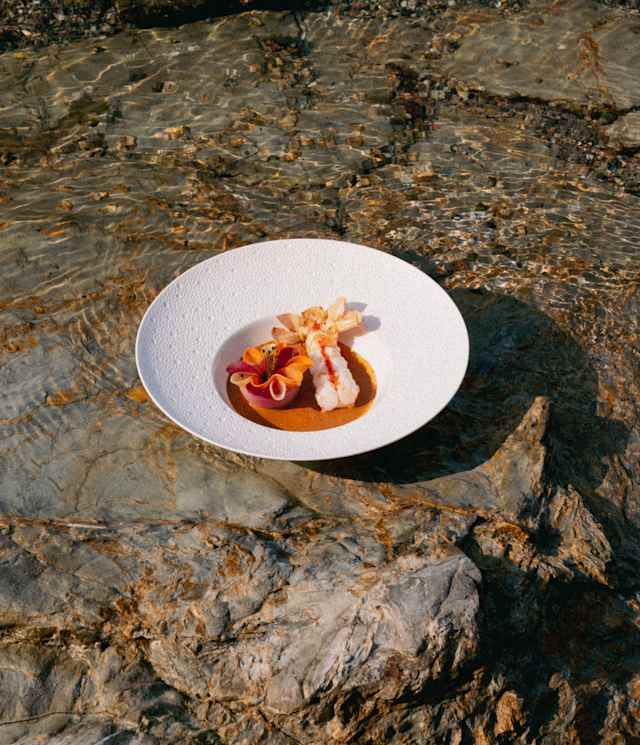 A white plate with an artfully arranged dish, featuring various colourful ingredients and garnishes, sits on rugged rocks with shallow, clear water flowing around it.