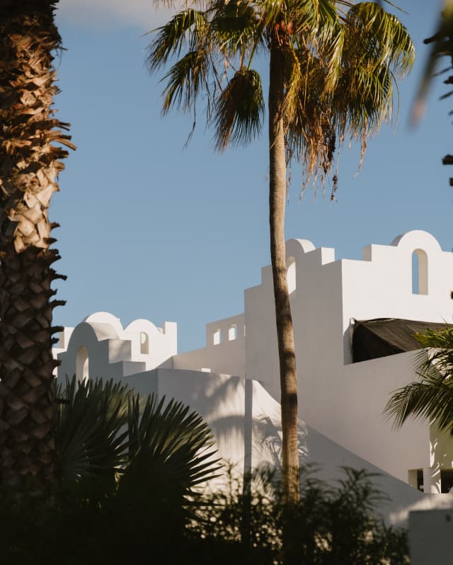 The villas' angular white walls form a geometric roofline with a blue sky backdrop and foreground palms.