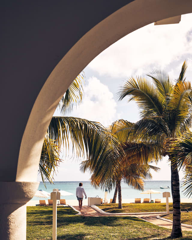 The tops of palm trees under lightly clouded skies viewed from under a terrace arch