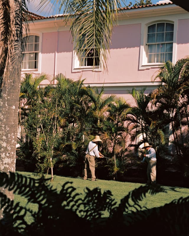 See through ferns and foliage across a lawn, two gardeners tend to the tree ferns that flank a pink wall of the quaint hotel.