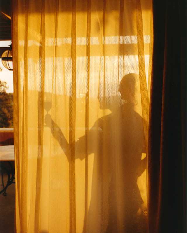The other side of a gold-yellow translucent curtain, illuminated from behind, a man, seen as a shadow, raises a wineglass.