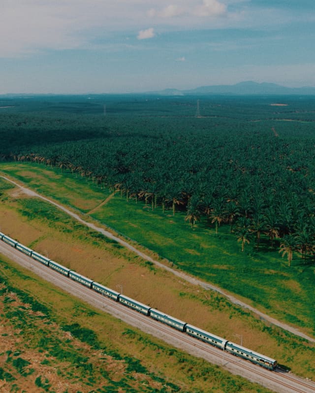 The Eastern and Oriental Express train crosses countryside between fields and dense palm tree forest, seen from above.