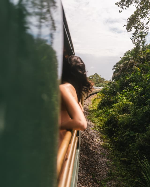 A woman's elbows jut from the train as she leans back on the rails of the Observation Deck, seen from the exterior.