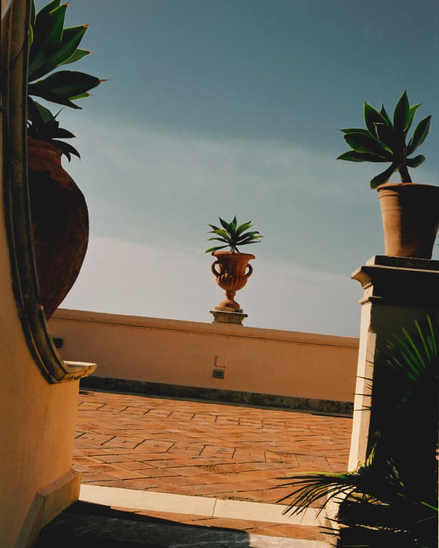 Detail of three ornamental urns containing succulents on the walls bordering a terracotta pathway, with a blue sky behind.