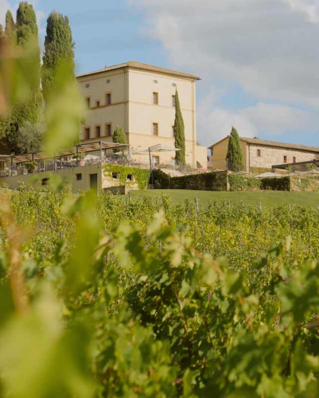 A vineyard with lush green grapevines in the foreground and a large, light-coloured villa with cypress trees and other greenery on a hillside in the background under a partly cloudy sky.