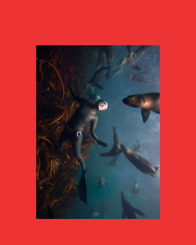 Diver, Hanli Prinsloo swims in a kelp forest with seals in an underwater photograph with a red frame.