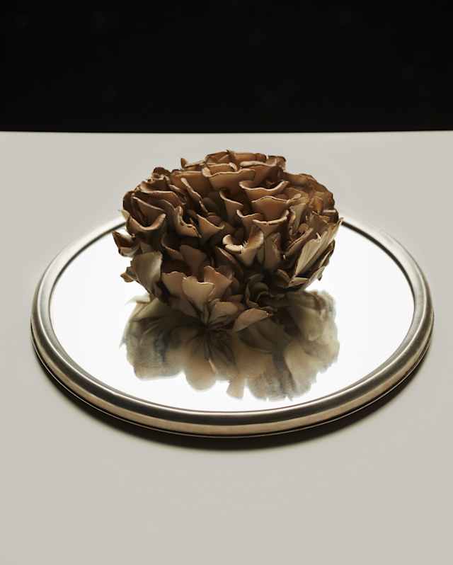 A brown mushroom sits on a round, reflective mirror placed on a white surface, with a black background behind it.
