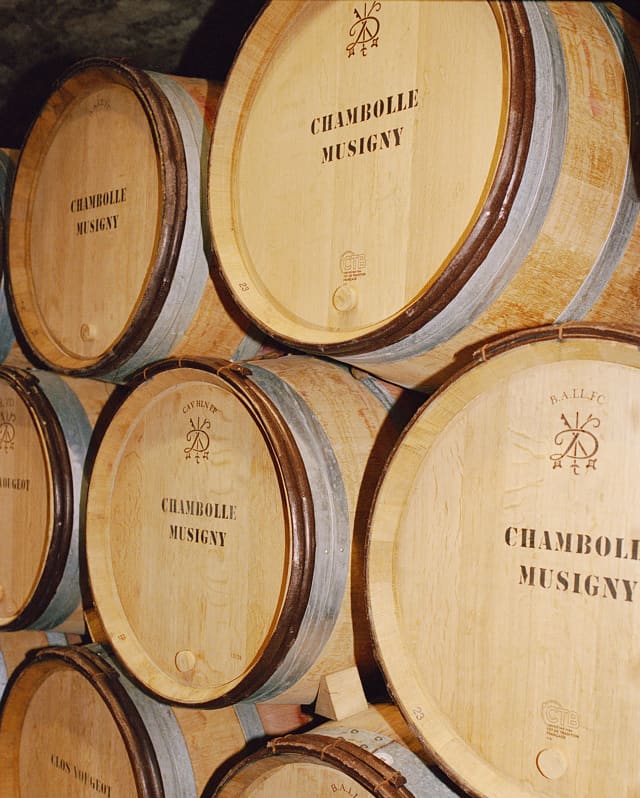 Close-up of six wooden barrels stacked in a cellar bearing the Côte d’Or Burgundy winery name and logo of Chambolle Musigny.
