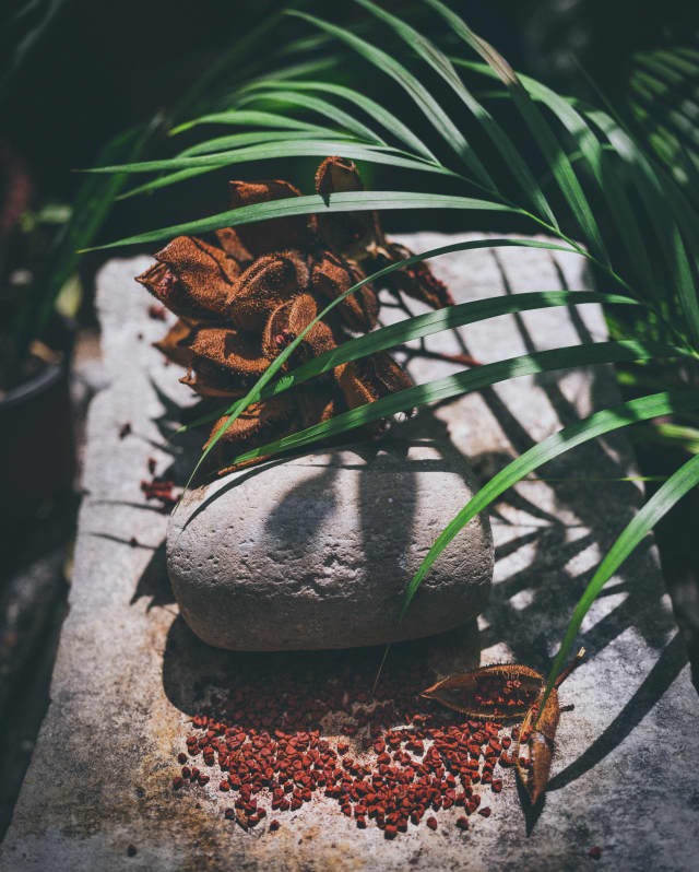 Traditional natural Mexican ingredients found on a trip through Mexico’s Yucatan Peninsula