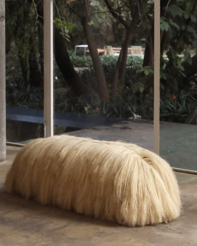 Fernando Laposse's Dog Bench, created with a coat of pale Agave Sisal, provides a dramatic and playful addition to a foyer.