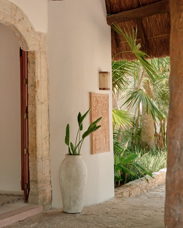 With glimpses of palms in the flower bed behind, a tall white pot with young strelitzia plant stands guard outside the lobby.