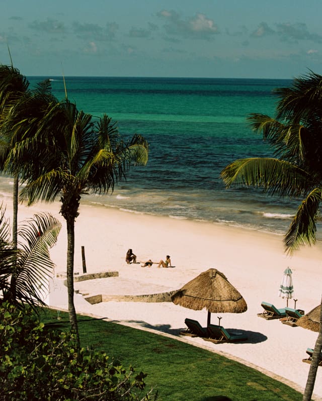 Three people relax on a white beach between palm trees and the sea, striped with shades of aquamarine, seen from above.