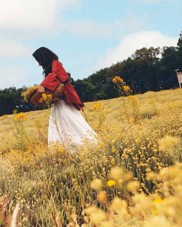 Low-angle image of a dark-haired woman in a white skirt and red top as she carries a basket of harvested flowers in a field.