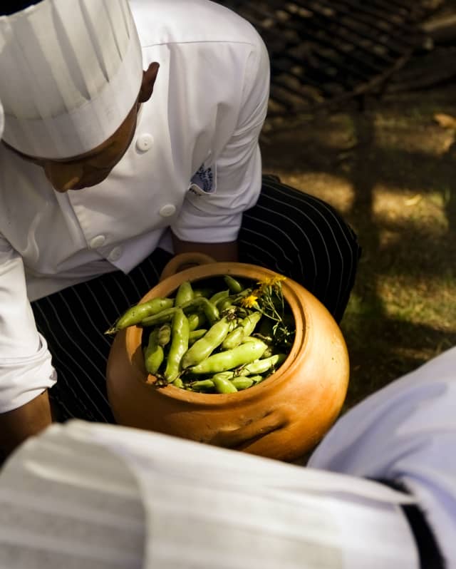 Close up shot of cooks holding peruvian habas peas
