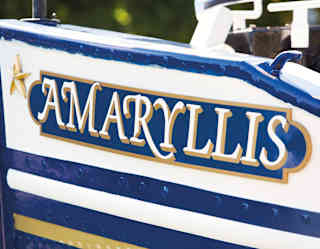 Amarylis